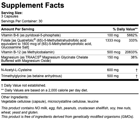 헬씨 호모시스테인 & 메칠레이션